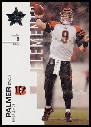 07LR 113 Carson Palmer.jpg